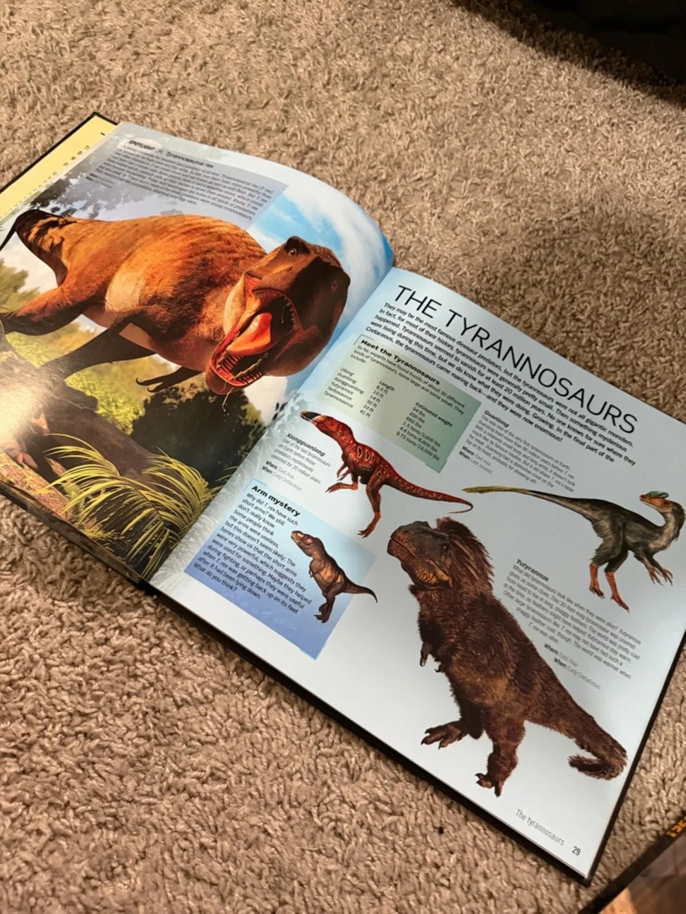Age of Dinosaurs & Dino Trux Game Bundle - books